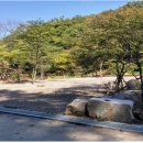 용인랜드 숲속캠핑장 이미지