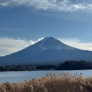 여름도겨울 | 도쿄 후지산 투어 당일치기 버스 여름 겨울 여행 후기