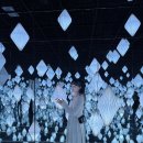 푸른숲식당 이미지