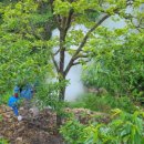 청도소방서 이미지