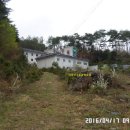 지리산구룡관광호텔 티스토리