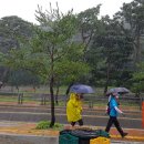 갈산동주민센터 이미지