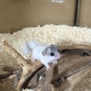 서산아크릴