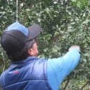 이슬농장 이미지