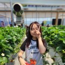 리더스태권도 이미지