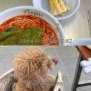 뇽뇽스낵 | 매일이 평화롭고 행복하길 간절히 바라고 바랄게요