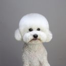 멍분의 멍 이미지