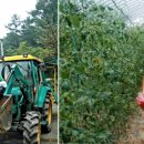 상호리마을 이미지