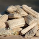 노동쌀엿 네이버블로그