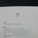 박분남 이미지