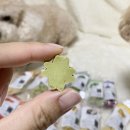 아임마인드 이미지