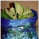 두미목장 이미지