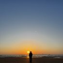 동호비치호텔 이미지