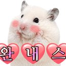 렌즈천사