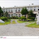 오궁초 네이버블로그