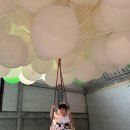 [경기도 용인] 기흥 아트뮤지엄 더팬 <날다> 풍선 체험 후기