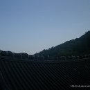 태자수선