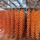 상촌농장 이미지