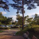 영산강 대상공원 주차장 이미지