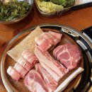 꽃돼지약재 이미지