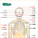 전신 뜸 혈자리 77 이미지