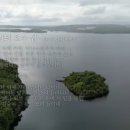 안중조약국 이미지