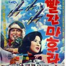 솔숲과 바다 이미지