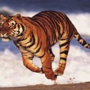 오중한한의원 이미지