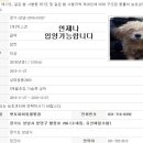 펫 앤 쉘터 동물병원 이미지