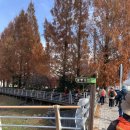 비둘기공원 화장실 이미지