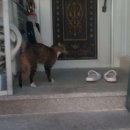 가지산스크린골프 이미지