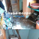 둥근섬로 Daum카페