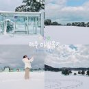 동상2공원AP1(공원입구 cctv) | 겨울 제주 뚜벅이 눈 구경 :: 아이젠 없이 마방목지 설경 | cctv 도로 통제