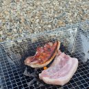 해송피크닉장 이미지