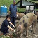 이기숙농장 이미지