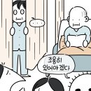 병원툰 최초의 사이다사연 이미지