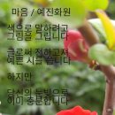 예진화원