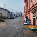 천장어 | 2만원대 국내산 민물장어! 물왕저수지 맛집 시흥 천장어 가성비 솔직 후기