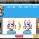 메이플커스텀