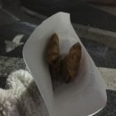 논산히포커피 | 꽃잎은 저물고 힘겨웠던 난 작은 빛을 따라서
