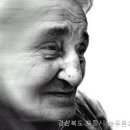 늘푸른주유소 | 포항요양원｜ 늘푸른요양원에서 누릴 수 있는 특별한 혜택은?