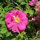 홍천산골놀이터 이미지