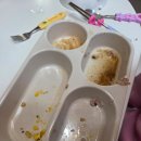 자연동화 | [유아식판] 5살 집밥 메뉴 / 자연동화 곡물도자기식판 후기