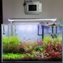 네오클린 이미지