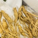 서울센트럴신경외과의원 이미지