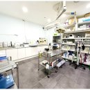 연동물병원 이미지