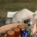 스테이 감동 이미지