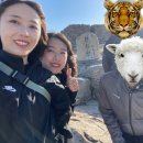 명산기사식당 이미지