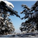 송정해변 이미지