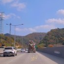 (주)캐니스